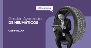 Gestión Avanzada de Neumáticos